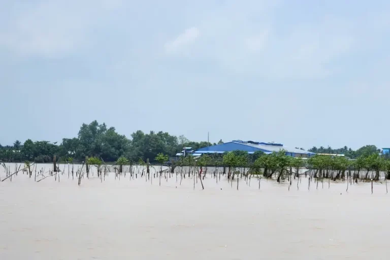 Mekong vietnam